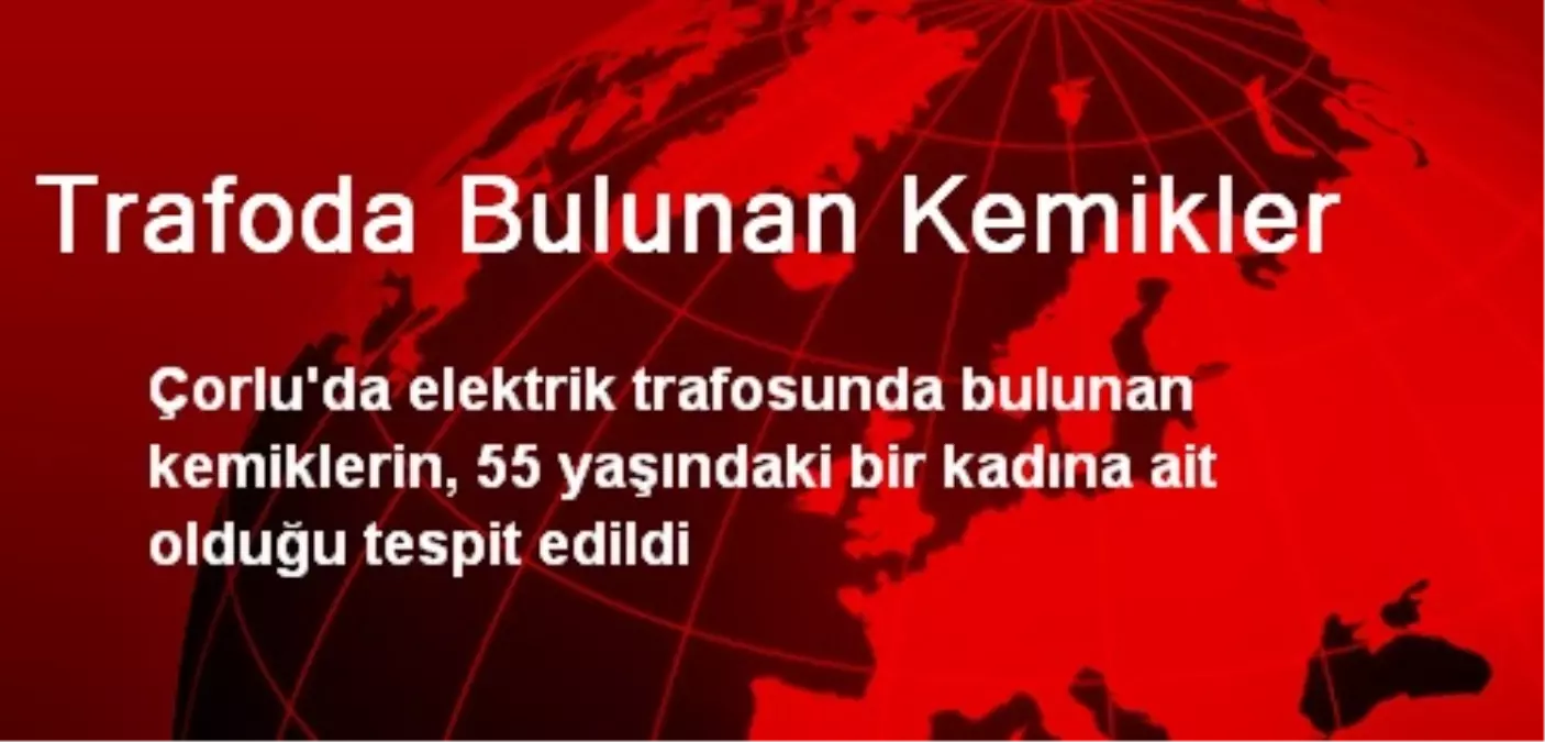 Çorlu\'da Trafoda Bulunan Kemiklerin Sırrı Çözüldü