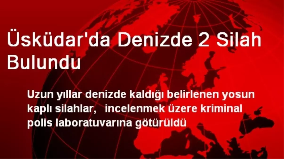 Üsküdar\'da Denizde 2 Silah Bulundu