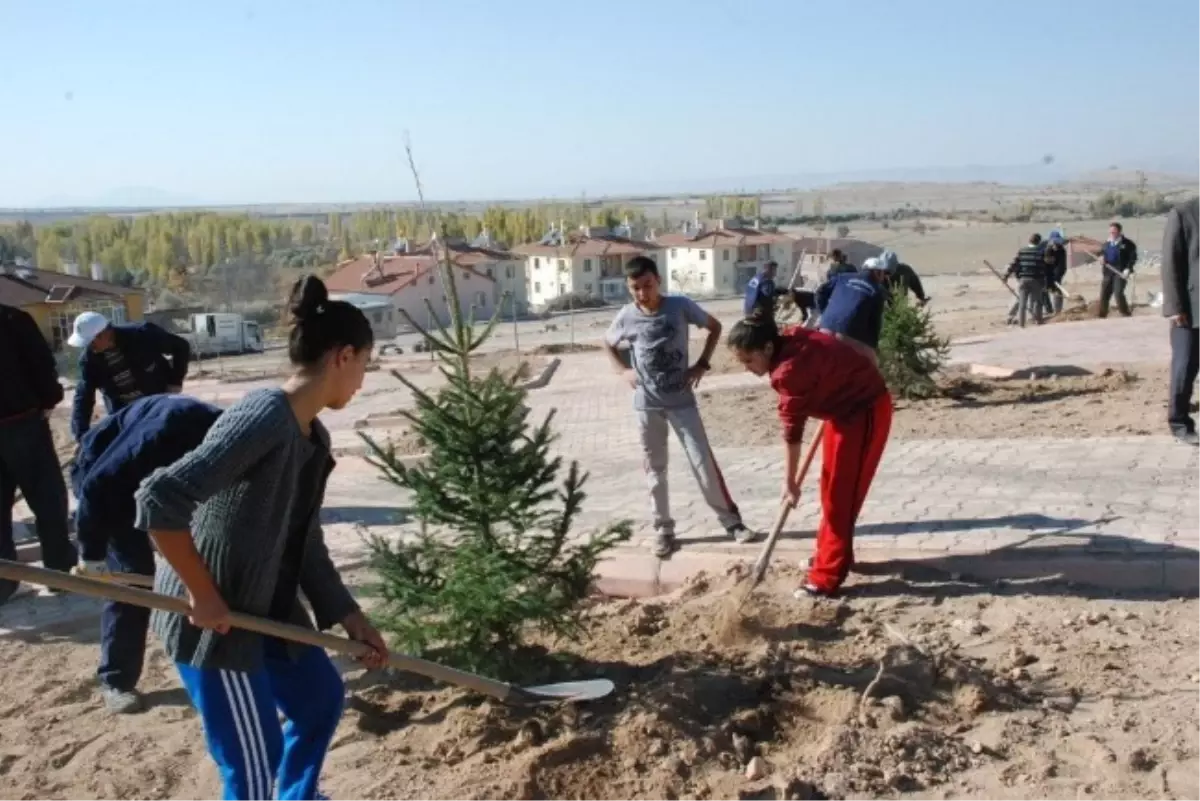 Sonbahar Fidan Dikim Çalışmaları Öğrencilerin Katılımıyla Devam Ediyor