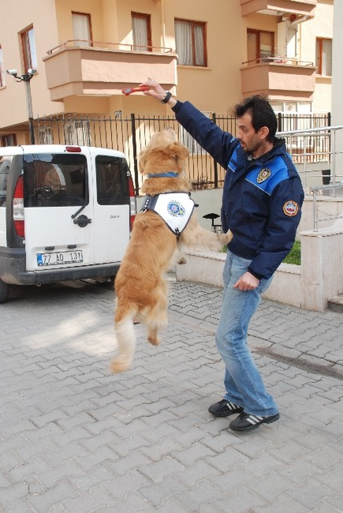 Toprağa Gömülen Esrarı "Dingo" Buldu