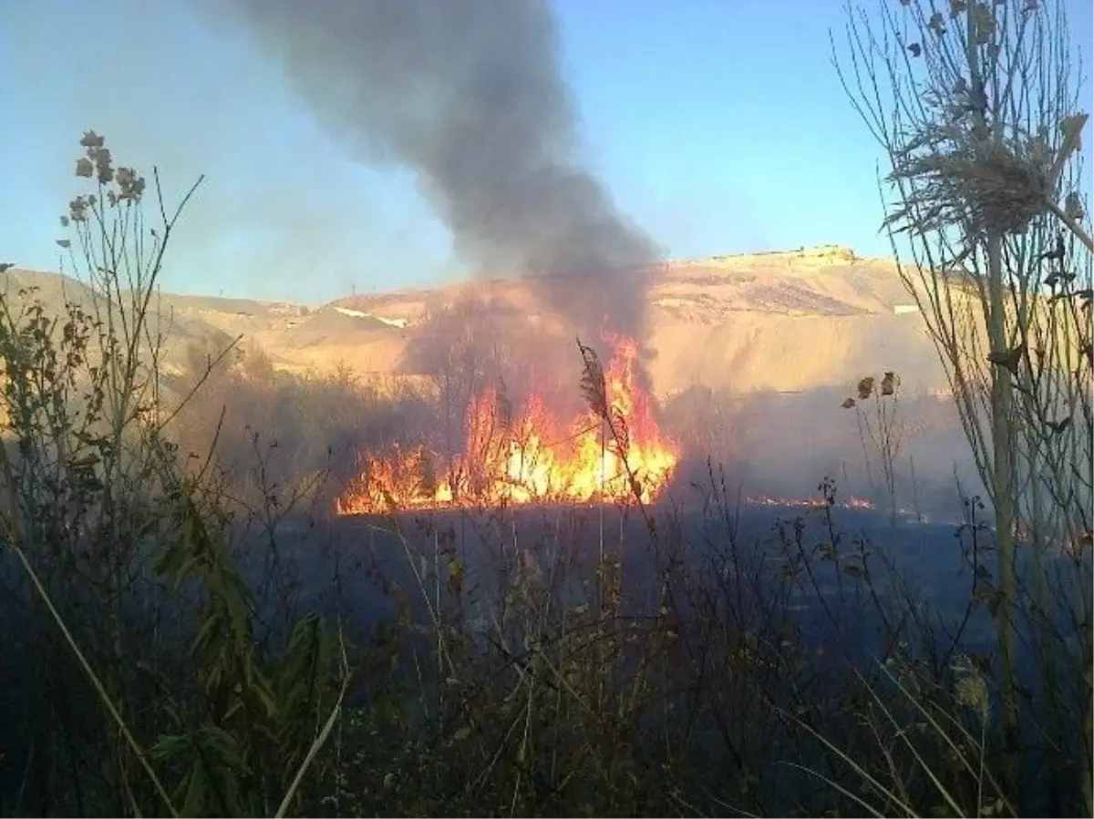 Tosya\'da Arazi Yangını