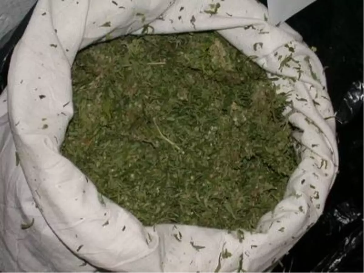 Turgutlu\'da 2 Kilo 343 Gram Esrar Ele Geçirildi