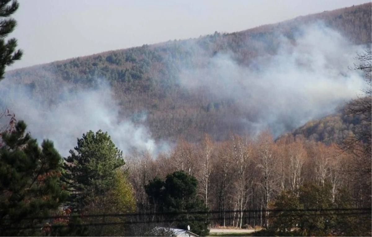 Uludağ\'da Yangın 150 Hektarlık Alanı Kül Etti