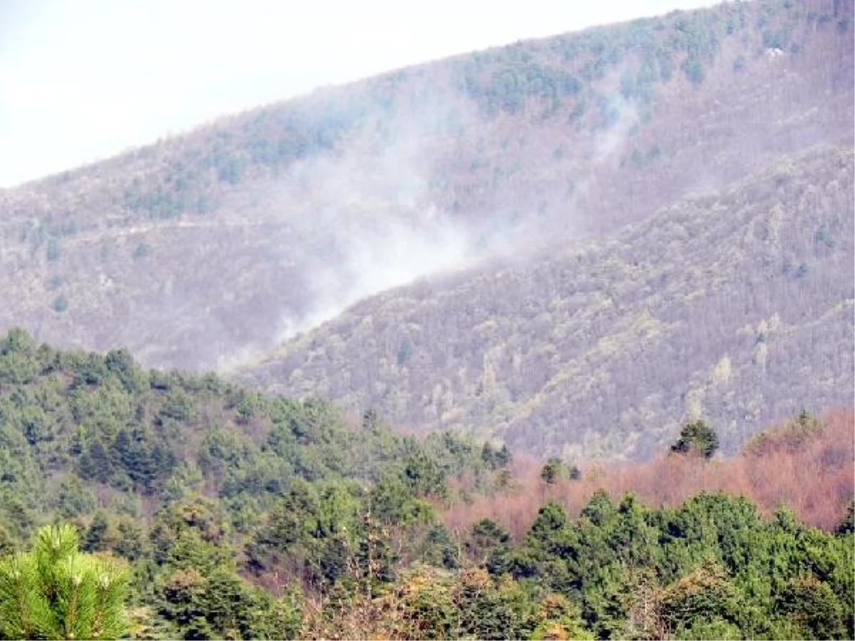 Uludağ\'daki Yangında 50 Hektar Alan Yandı