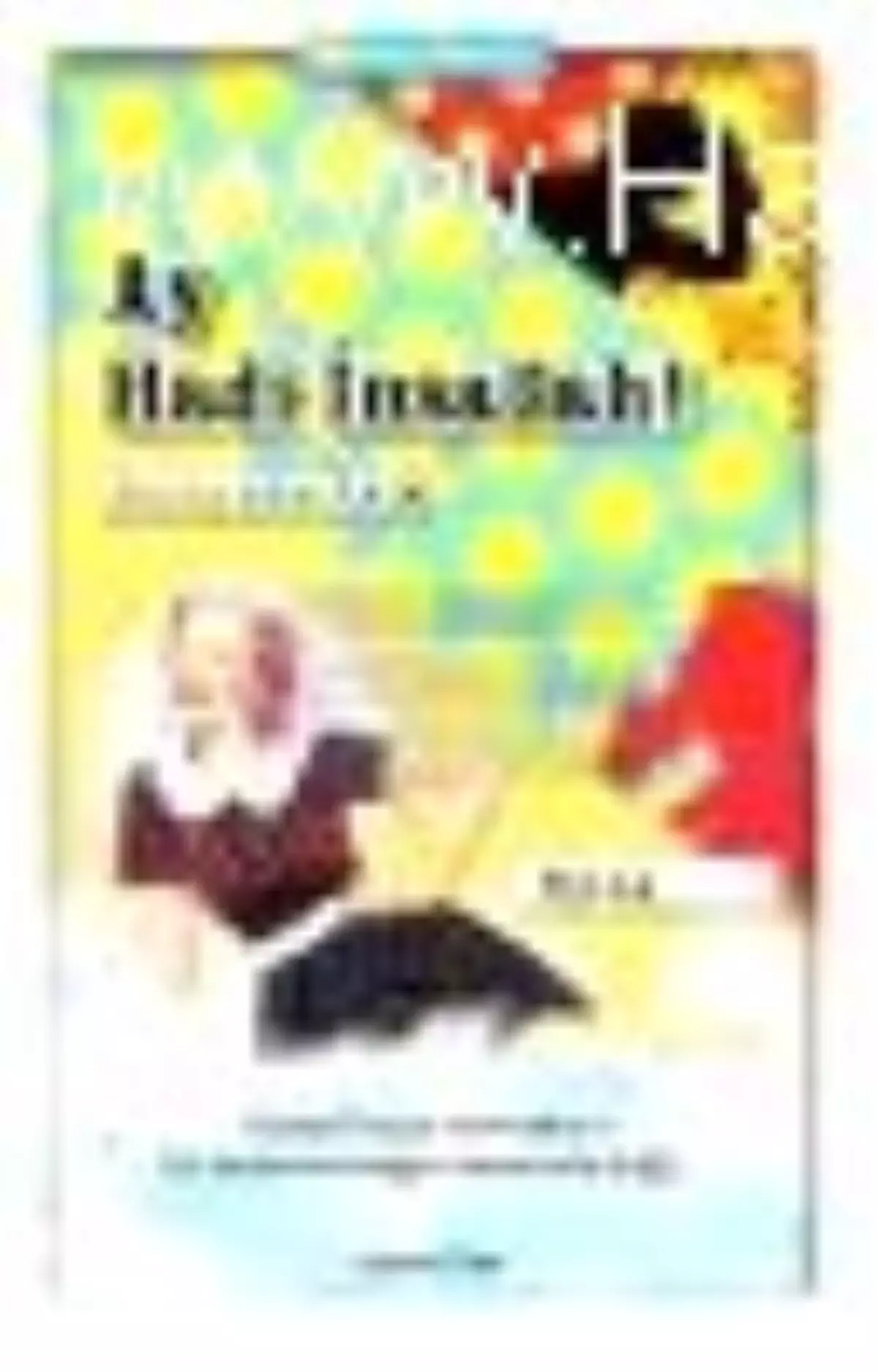 Ay Hadi İnşallah! - Pucca Günlük 4. Kitap Kitabı