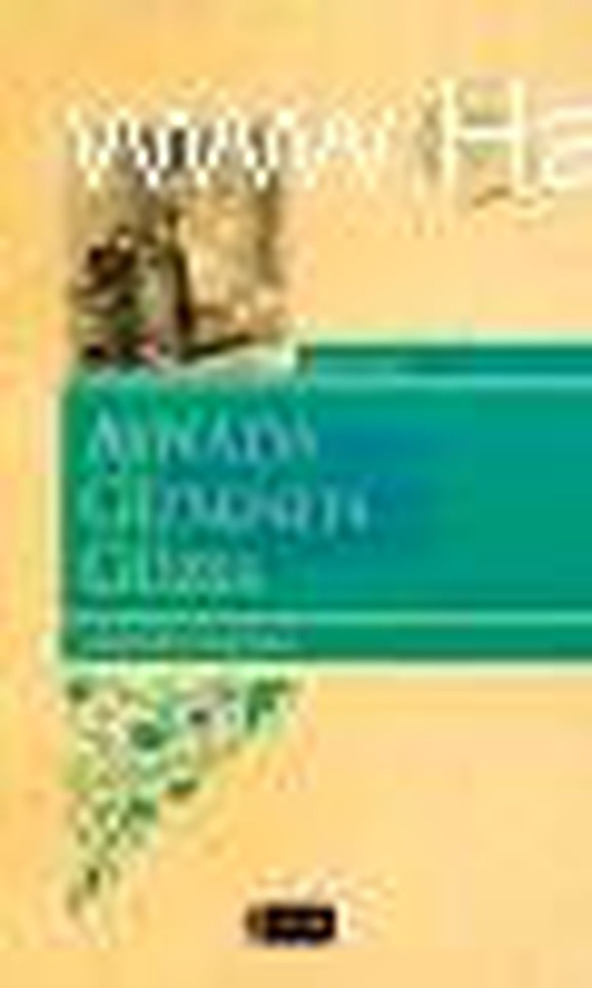 Aynada Gizlenen Güzel Kitabı