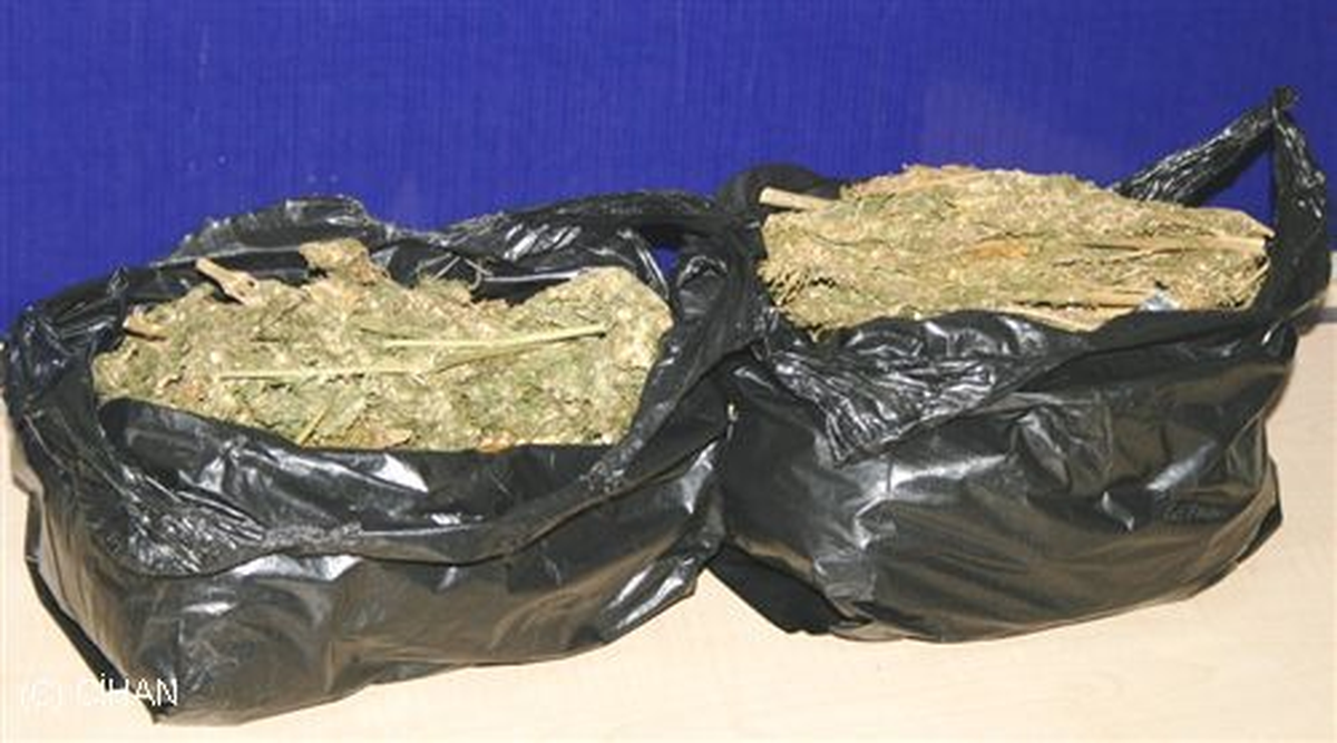 Batman\'da 250 Kilo Esrar Ele Geçirildi