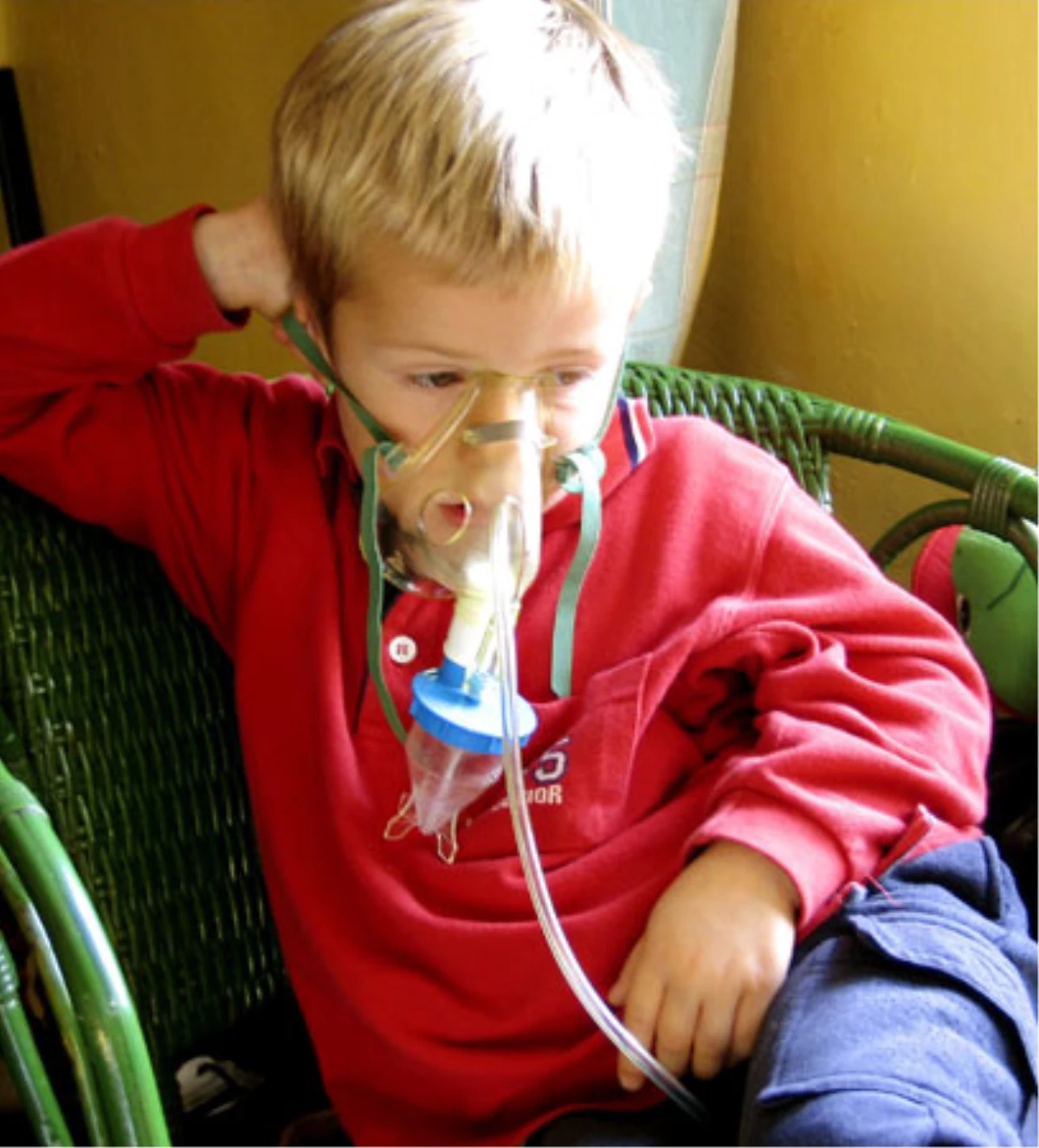 Çocuklarda Görülen Astım Hastalığının Nedeni Yüzde 90 Alerji