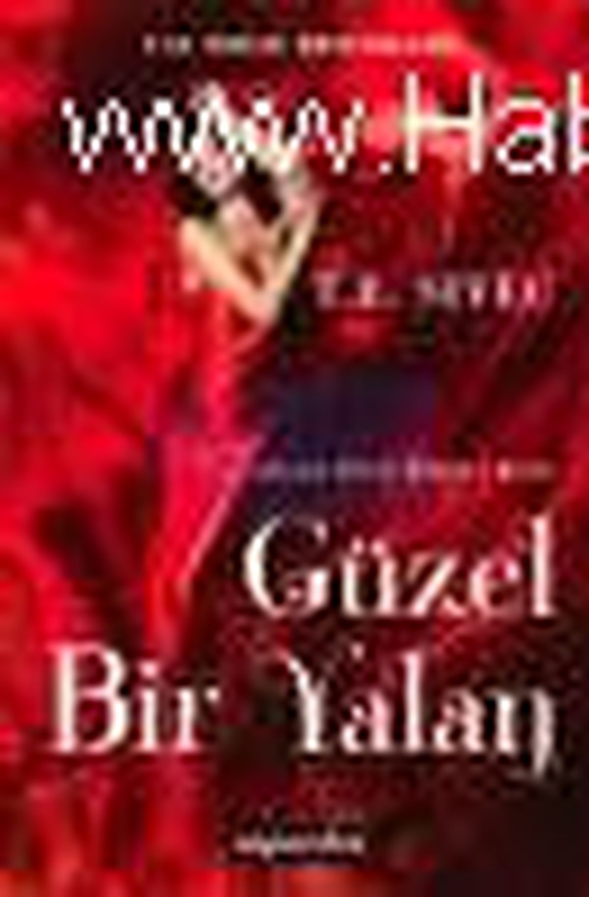 Güzel Bir Yalan Kitabı
