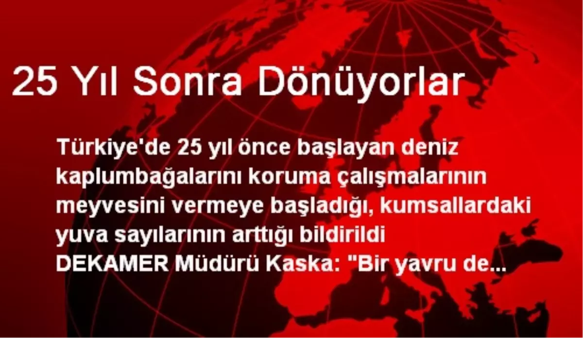 25 Yıl Sonra Dönüyorlar