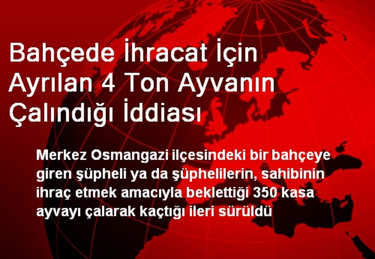 Bahçede İhracat İçin Ayrılan 4 Ton Ayvanın Çalındığı İddiası