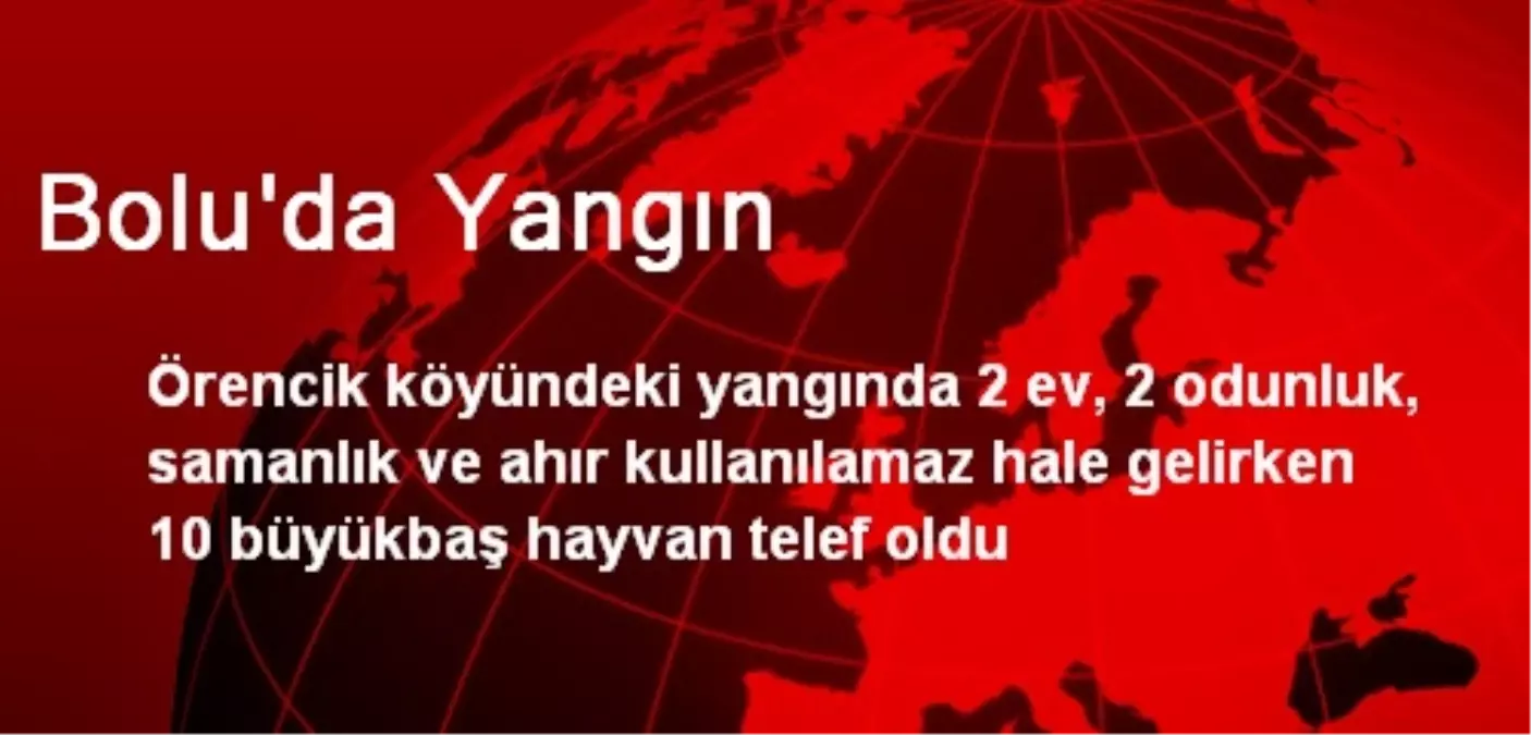 Bolu\'da 2 Ev Yandı, 10 Hayvan Telef Oldu