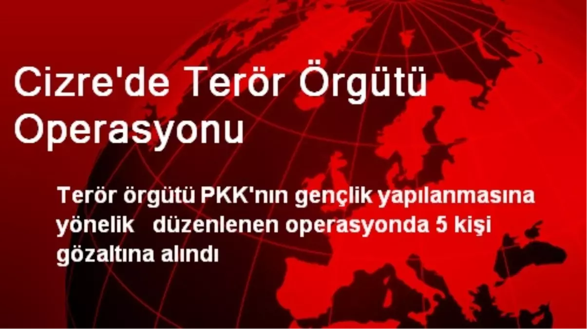 Cizre\'de Terör Örgütü Operasyonu