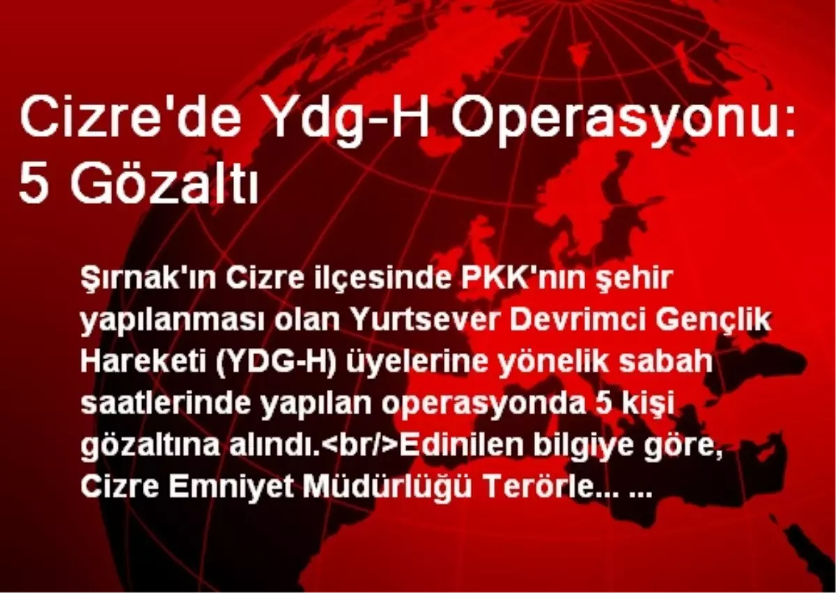 Cizre\'de Ydg-H Operasyonu: 5 Gözaltı