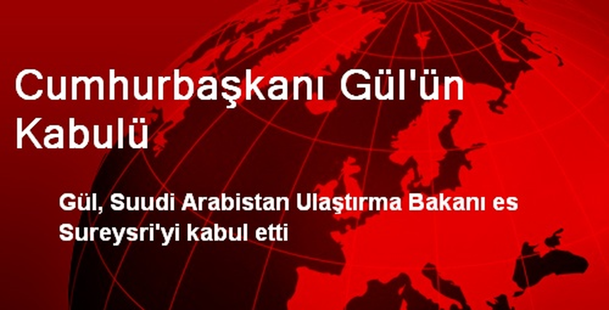 Cumhurbaşkanı Gül\'ün Kabulü