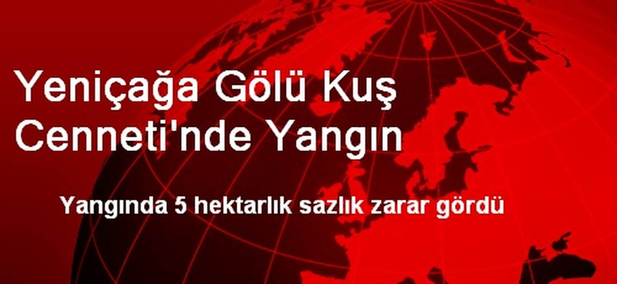 Yeniçağa Gölü Kuş Cenneti\'nde Yangın