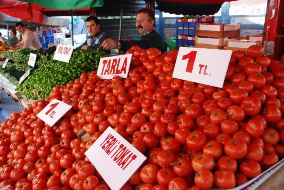 Tokat Domatesi 1 Tl