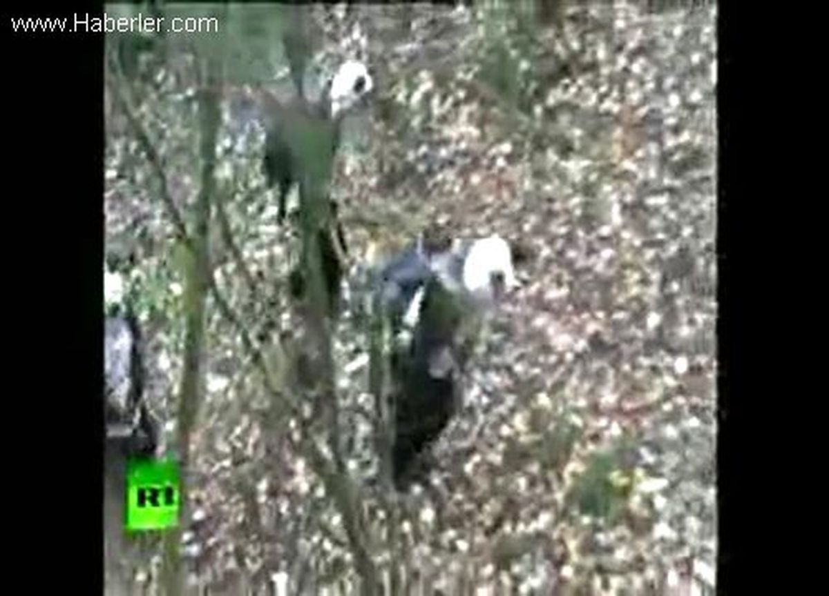 Yavru Pandayı Doğaya Alıştırmak İçin Panda Kılığına Girdiler