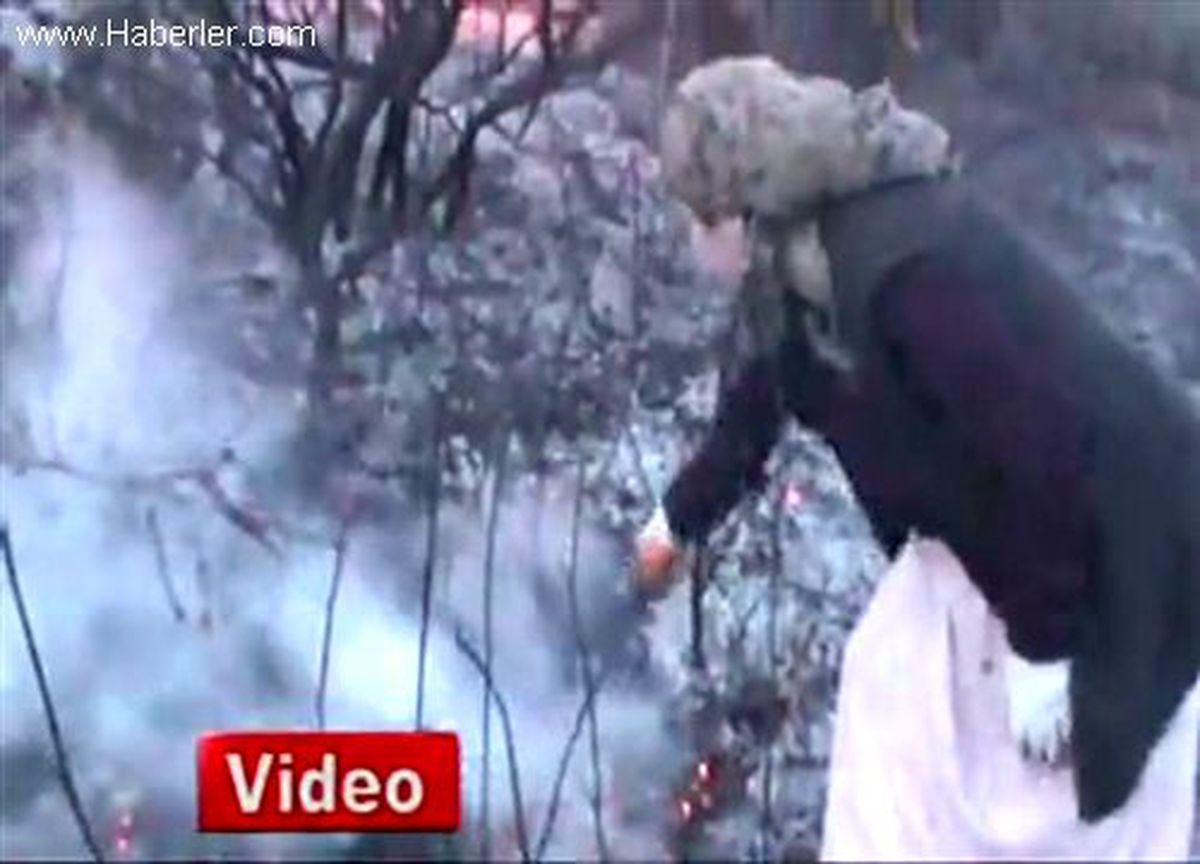 Zonguldak Ereğli\'de Fındık Bahçesinde Yangın