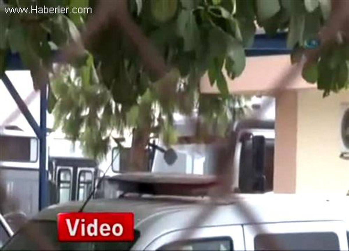 Adana\'da Tır\'da Roket ve Bomba Ele Geçirildi