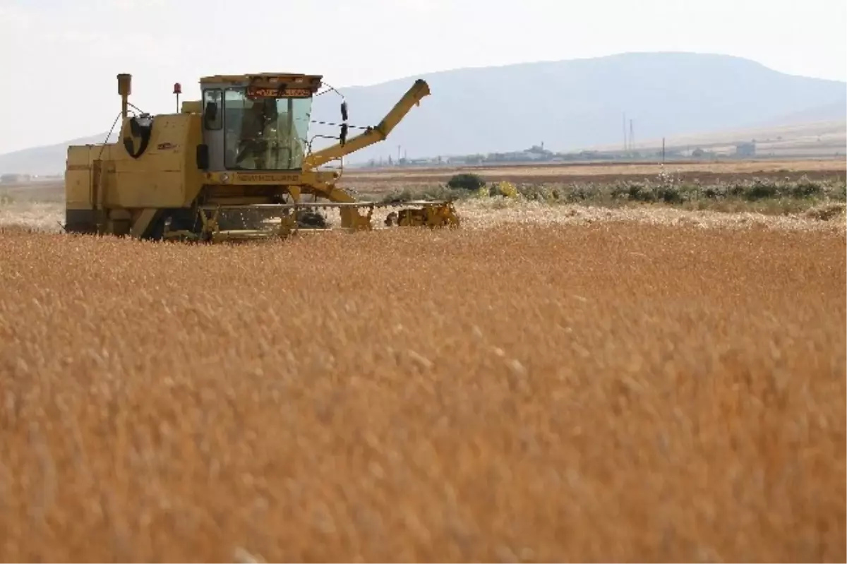 Aksaray Ziraat Odası Biçerdöver Operatörü Yetiştirme Kursu Açıyor