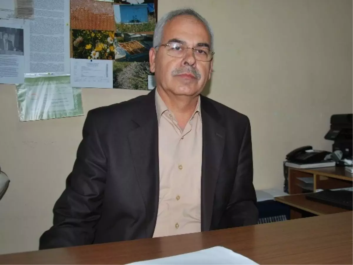 Aydın\'da Arıcılara 1 Milyon 481 Bin 32 TL Kovan Desteği Verilecek