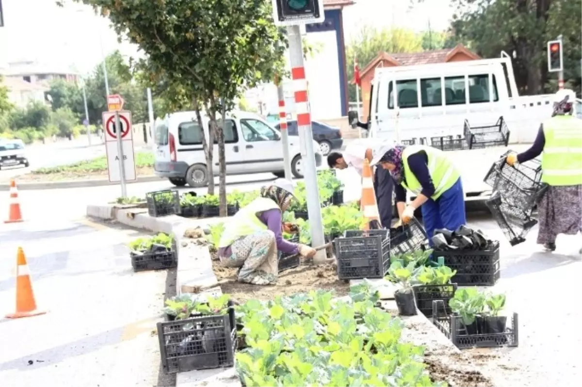 Çubuk Belediyesi Park ve Bahçeler Müdürlüğü Kışa Hazır