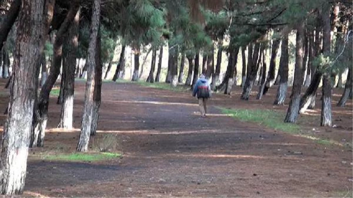 Hemşireyi Hastane Bahçesinde 17 Yerinden Bıçakladı