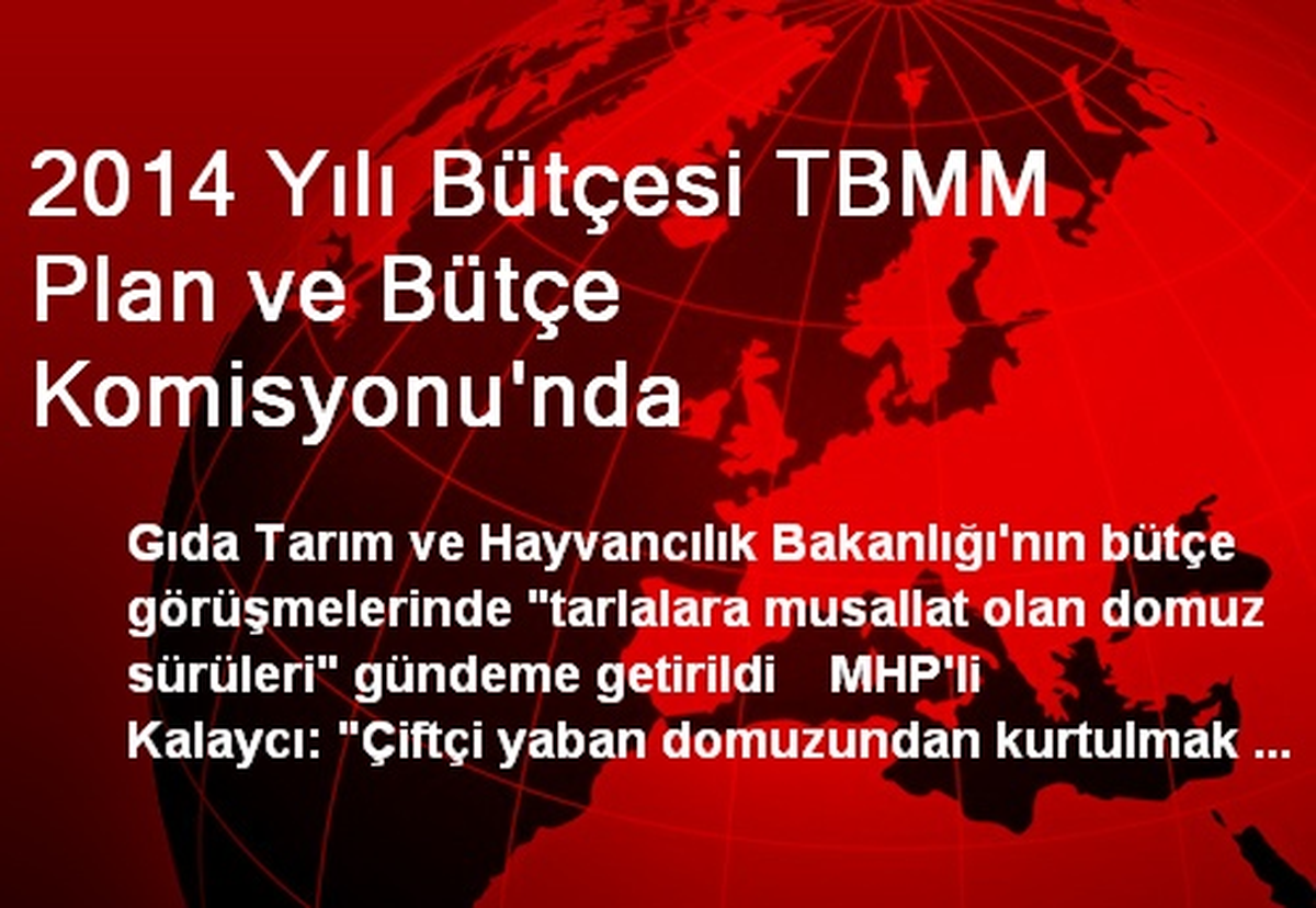 2014 Yılı Bütçesi TBMM Plan ve Bütçe Komisyonu\'nda