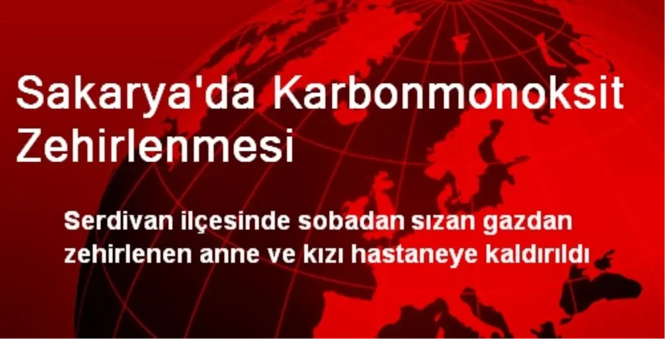 Sakarya\'da Karbonmonoksit Zehirlenmesi