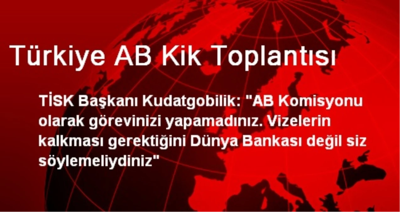 Türkiye AB Kik Toplantısı