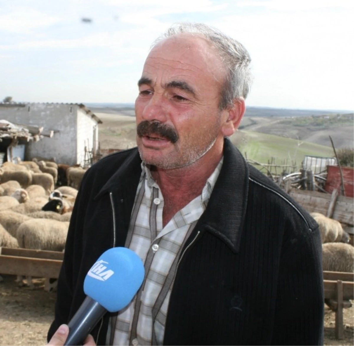 (Özel Haber) Koyunları Telef Olan Köylünün Gözyaşları