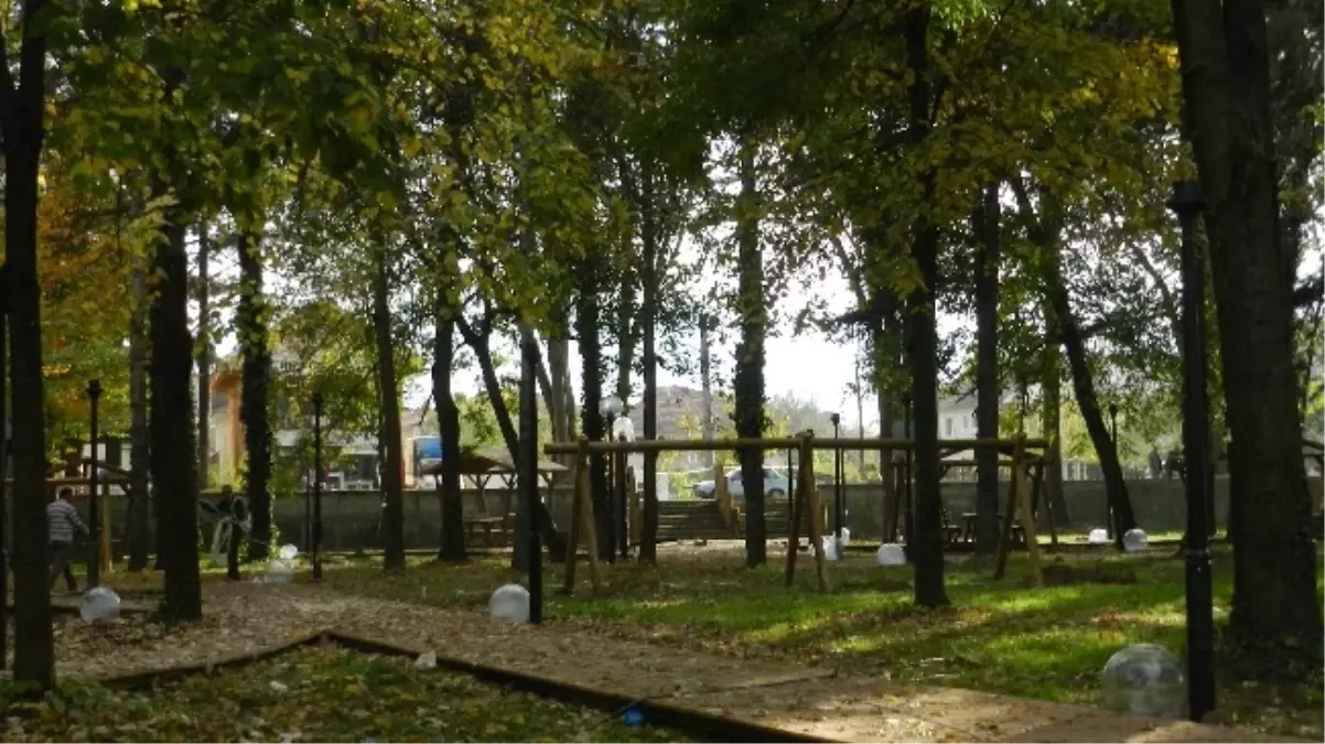 Şehrin Ortasında Kent Park