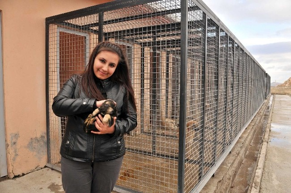 \'Küpem Var Aşım Var, Tek Eksiğim Sıcak Bir Yuva\' Sloganıyla Başlatılan Kampanya ile 274 Sokak...