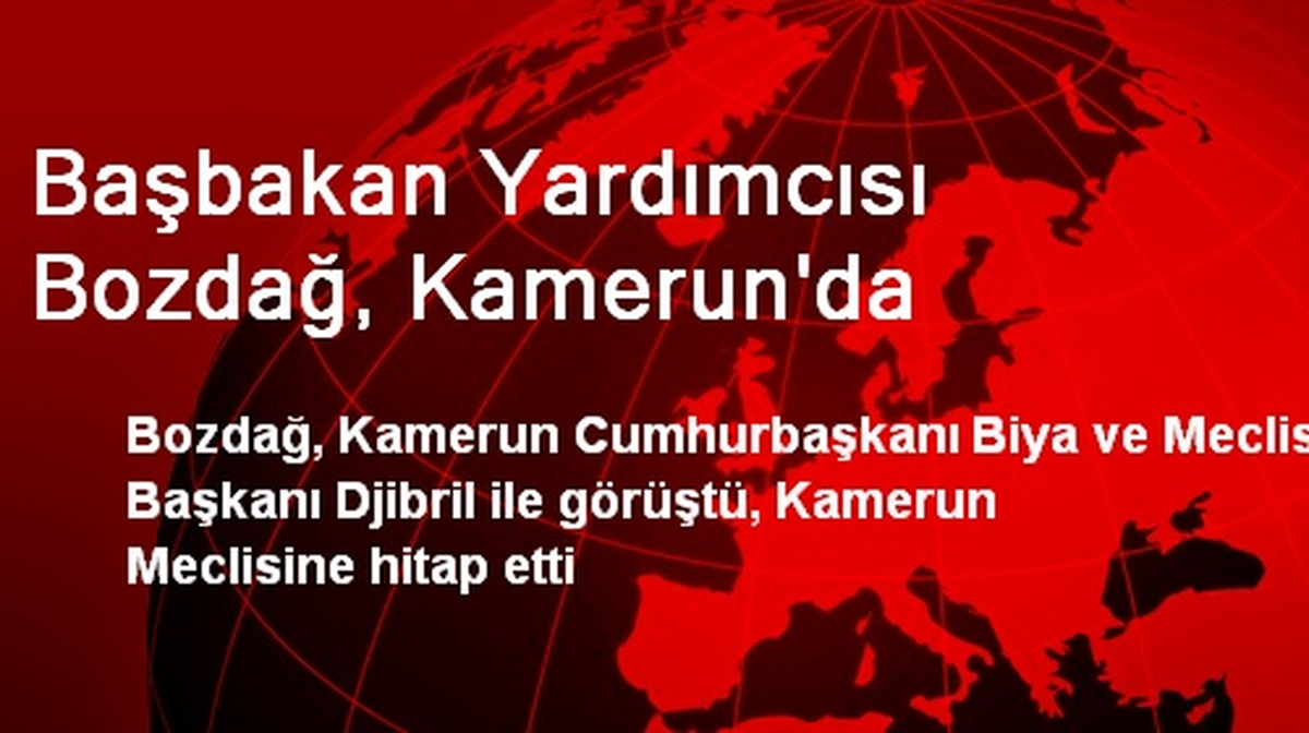 Başbakan Yardımcısı Bozdağ, Kamerun\'da