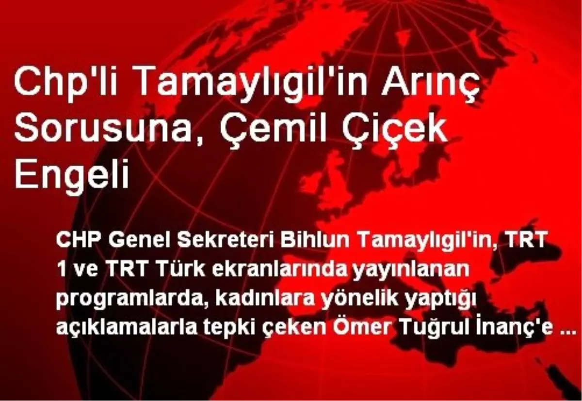 Chp\'li Tamaylıgil\'in Arınç Sorusuna, Çemil Çiçek Engeli