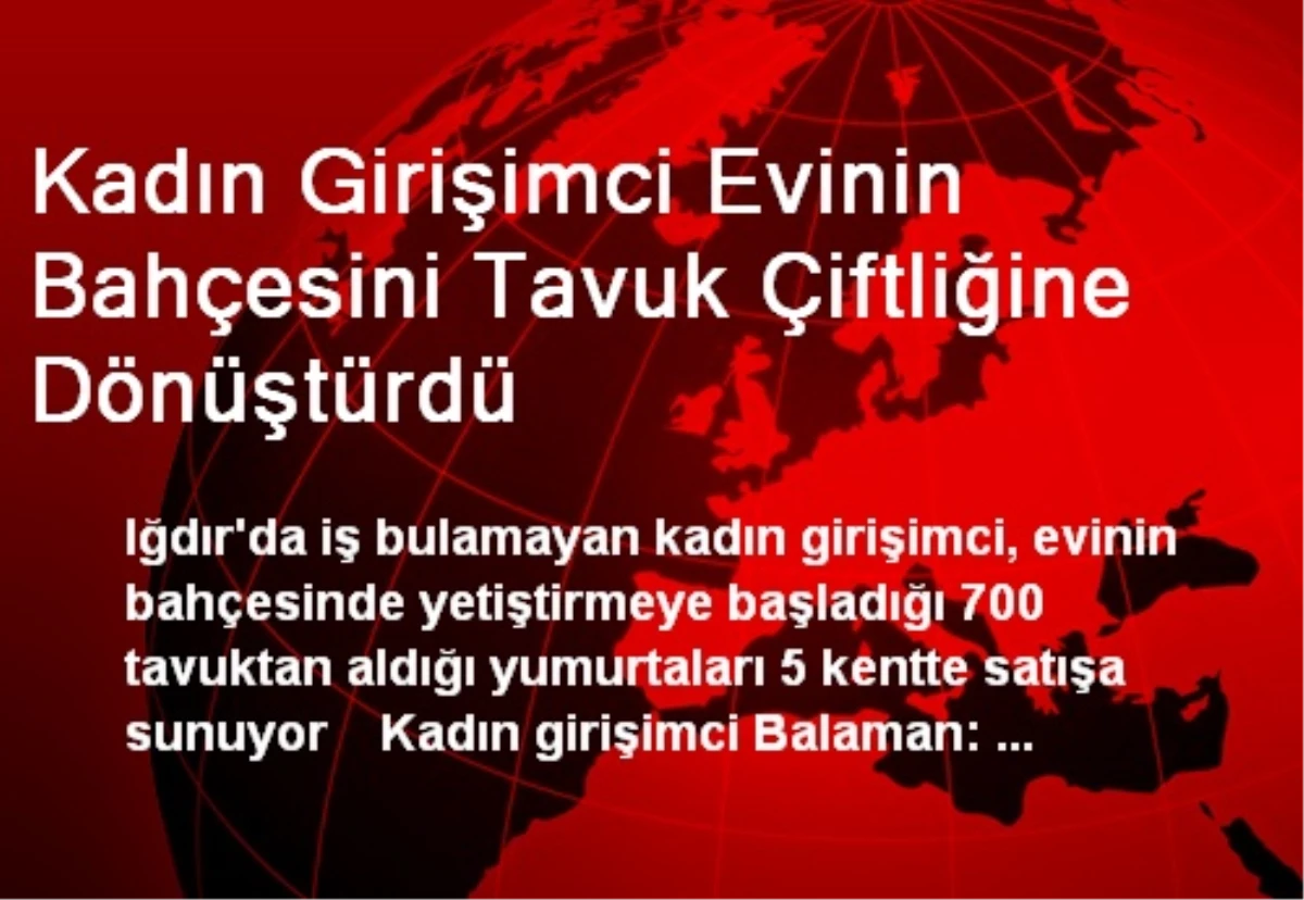 Kadın Girişimci Evinin Bahçesini Tavuk Çiftliğine Dönüştürdü