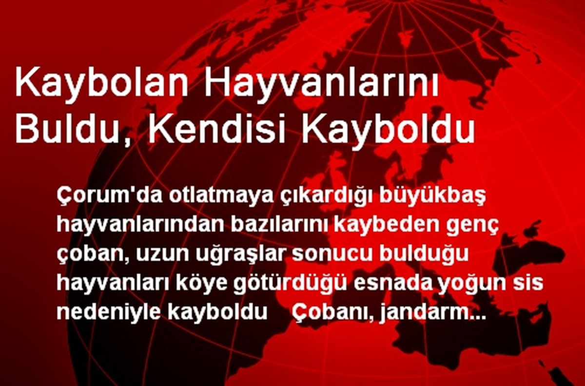 Çorum\'da Çoban Yoğun Sis Nedeniyle Kayboldu