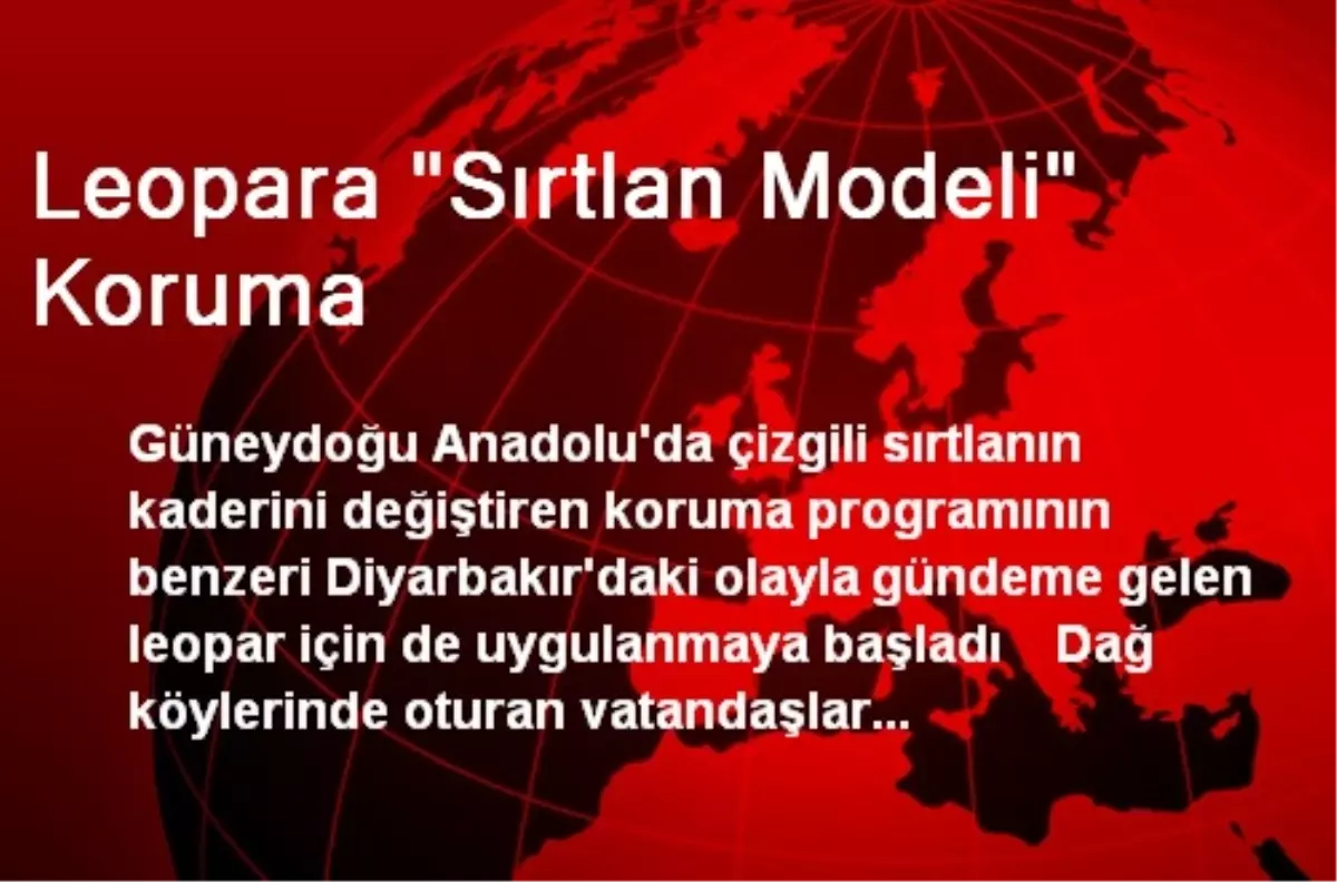 Leopara "Sırtlan Modeli" Koruma