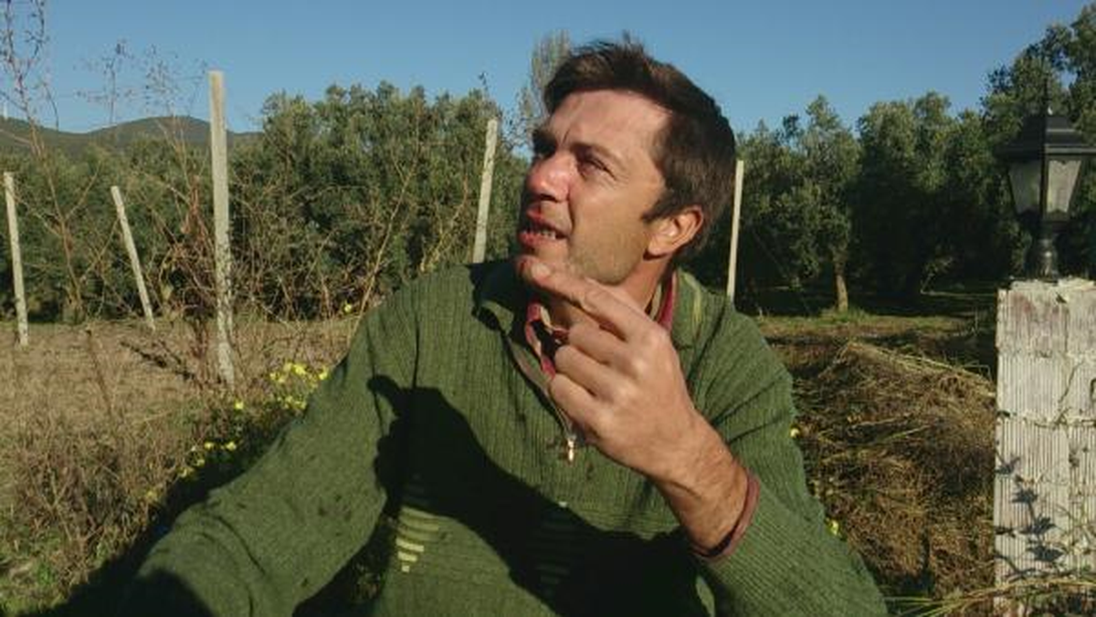 Zeytin Selesine Oturup, Devrilen Aracını Böyle İzledi