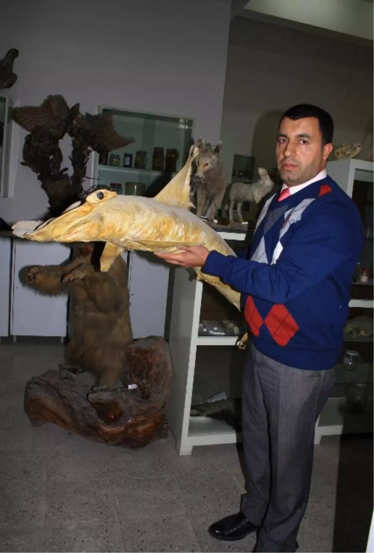 Dicle Üniversitesi Zooloji Müzesi Çok Sayıda Ziyaretçi Ağırlıyor