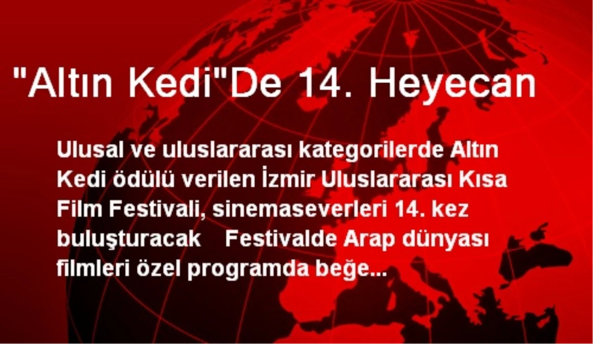 "Altın Kedi"De 14. Heyecan