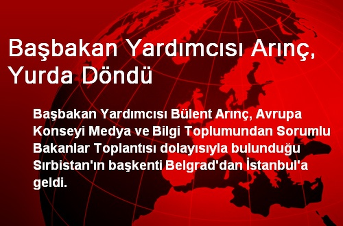 Başbakan Yardımcısı Arınç, Yurda Döndü