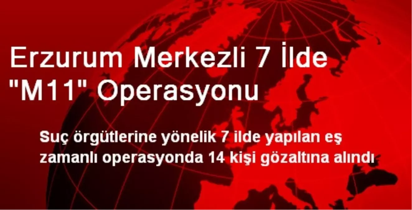 Erzurum Merkezli 7 İlde "M11" Operasyonu