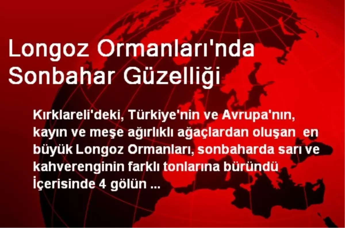 Longoz Ormanları\'nda Sonbahar Güzelliği