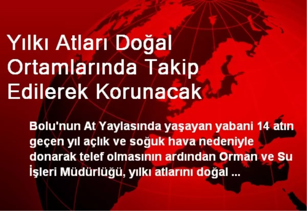 Yılkı Atları Doğal Ortamlarında Takip Edilerek Korunacak