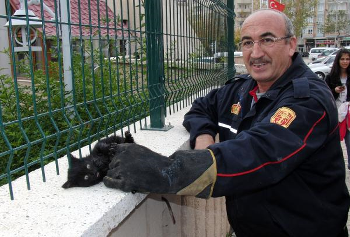 Kahramanmaraş\'ta Kedi Kurtarma Operasyonu