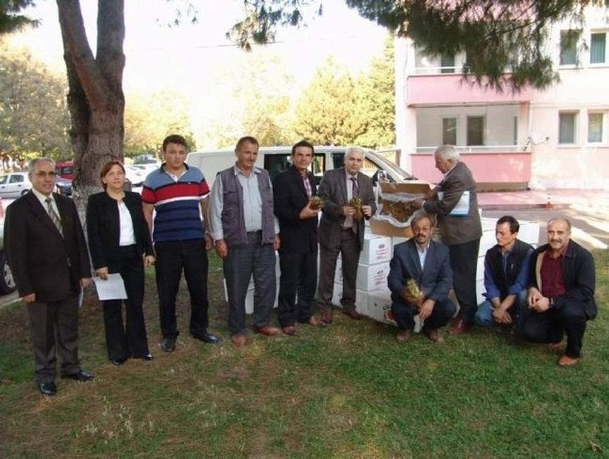 Osmangazinin Dağ Köylerine 120 Bin Fide ve Fidan Dağıtıldı