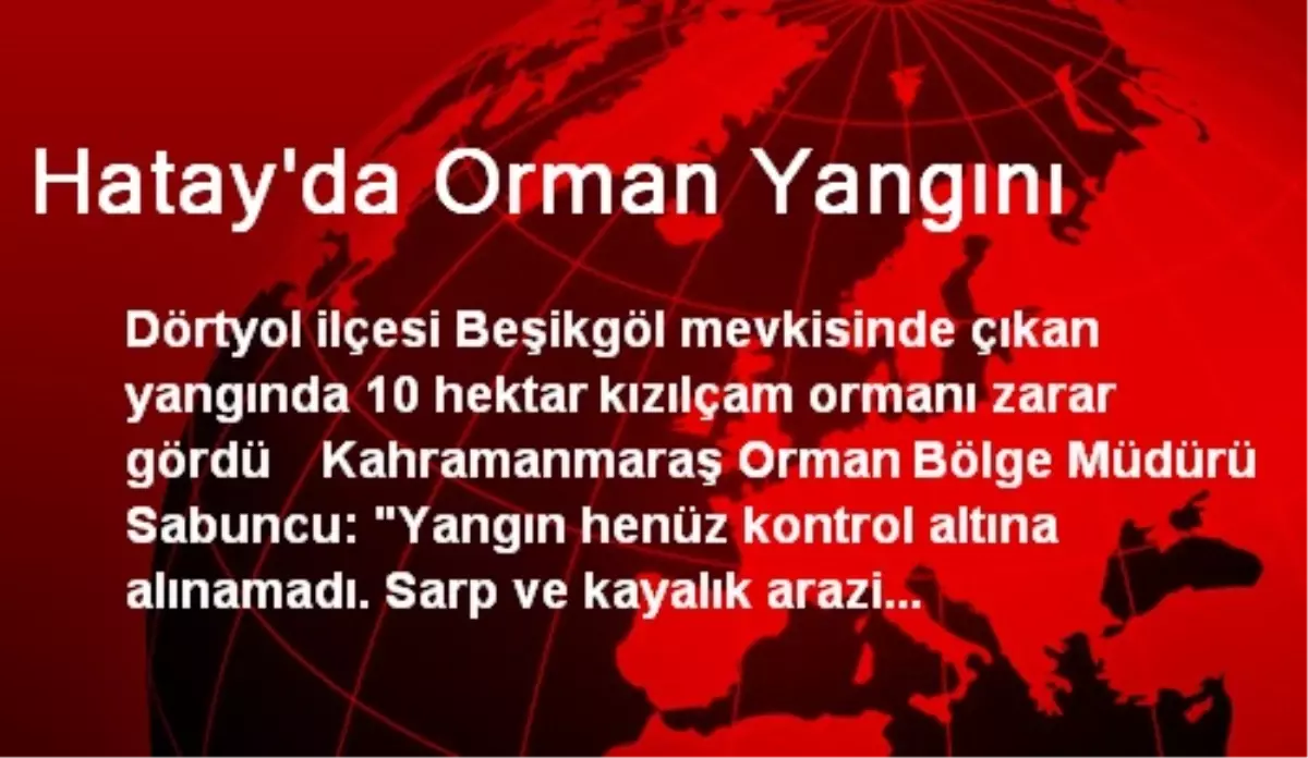 Hatay\'da Orman Yangını