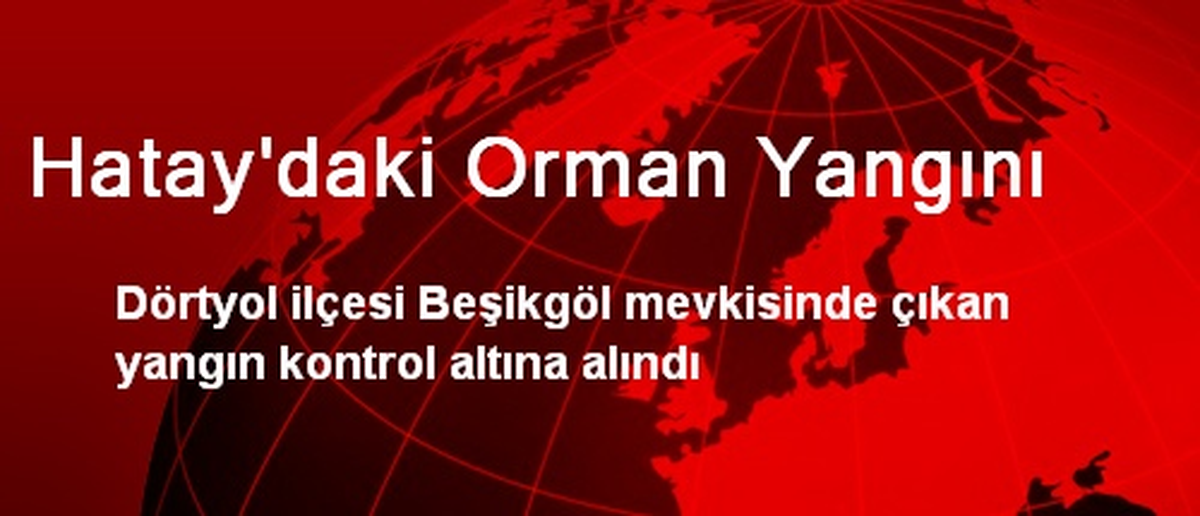Hatay\'daki Orman Yangını